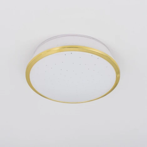 Встраиваемый точечный светильник Citilux Дельта CLD6008Nz (LED, 220V, диммер, IP21)