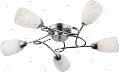 Потолочная люстра J-Light Deni 1125/5C