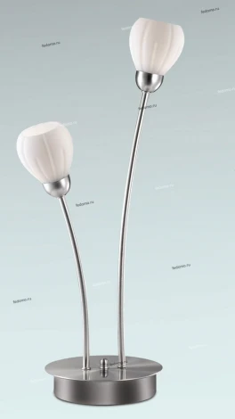 Интерьерная настольная лампа Odeon Light Akron 2469/2T