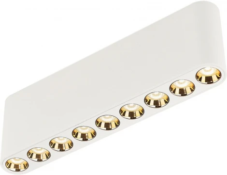 Потолочный линейный светильник Odeon Light Small 7091/21CL белый/металл/акрил LED 21W 3000K 220V