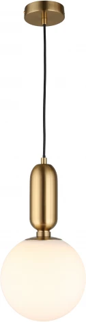 Подвесной светильник Aniela APL.612.26.01 (220V, на проводе, шар)