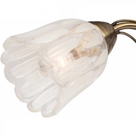 Потолочная люстра Silver Light Azalea 504.53.3