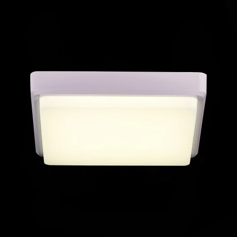 Потолочный светильник Evoluce Taddio SLE200212-01 (LED, 220V)