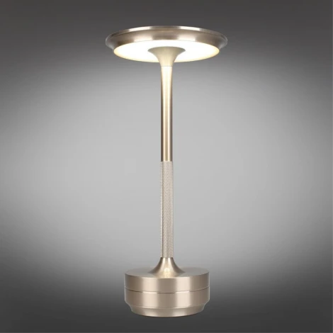 Настольная лампа светодиодная Aployt Markel APL.064.14.05 (220V)