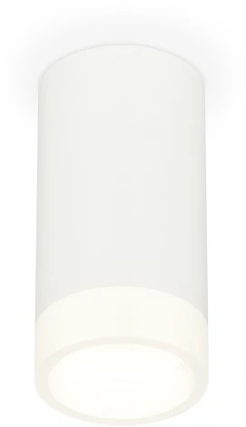 Накладной точечный светильник Ambrella Techno Spot XS8161002 (220V, круглые)