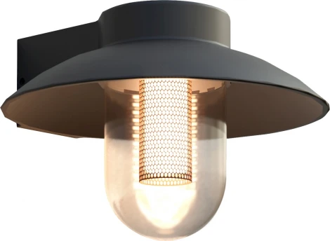 Настенный уличный светильник Favourite Lock 4384-1W