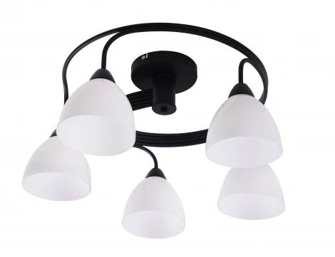 Потолочная люстра J-Light Fordy 1756/5C