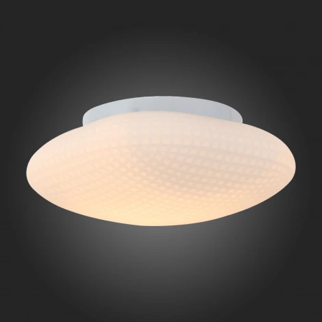 Настенно-потолочный светильник ST Luce Pone SL504.552.01