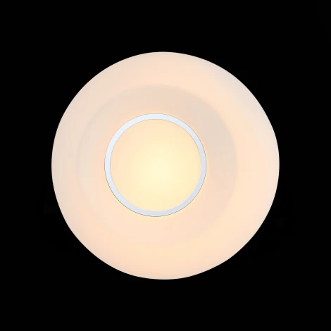 Настенно-потолочный светильник ST Luce Botone SL467.502.01