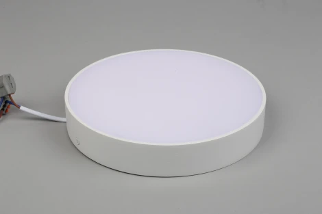 Потолочный светильник круглый Aployt Evon APL.0113.09.24 (LED, 220V, круглые)