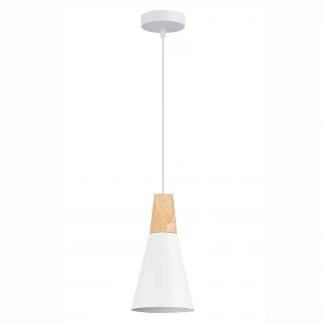 Подвесной светильник Evoluce Modica SLE125153-01