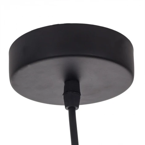 Подвесной светильник IDLamp Iris Color 243/1-Green