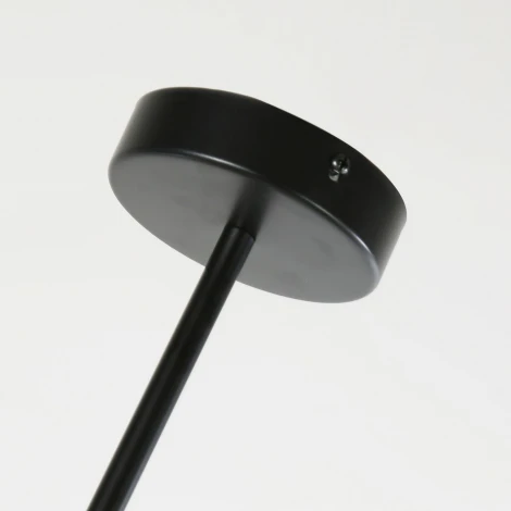 Потолочная люстра на штанге Favourite Frigus 4040-6P