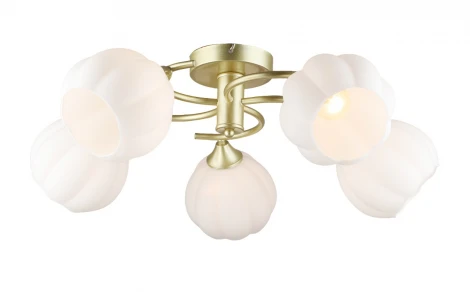 Потолочная люстра Мелодия Света SL1N SL4840-5 GD 000066033