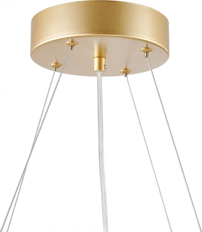 Подвесной светильник Favourite Asterismo 4448-6P (LED, 220V, на тросе, шарики, молекулы)