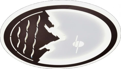 Настенно-потолочный светильник Мелодия Света CW1L 000028180