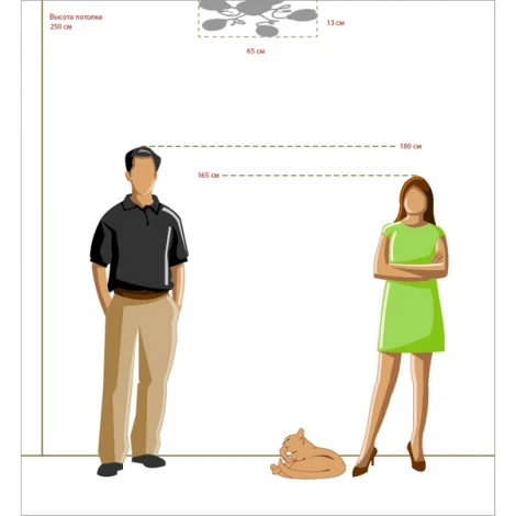 Потолочная люстра MW-Light Фиеста 267012005
