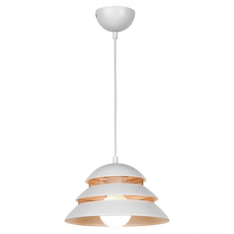 Подвесной светильник Lussole Loft Beijing GRLSP-8130 (220V, на проводе, круглые, IP21)