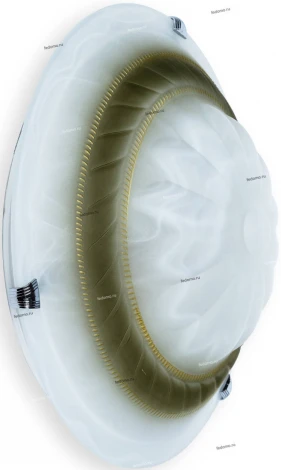 Настенно-потолочный светильник Toplight Clare TL9101Y-02BR