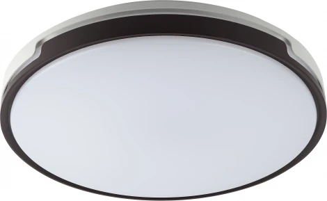 Потолочный светильник круглый светодиодный с пультом регулировкой цветовой температуры и яркости ЭРА SPB-6-70-RC Sance (220V, круглые)