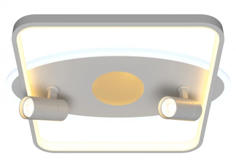 Потолочная люстра светодиодная, со спотами, с ДУ Ritter Novita 52098 0