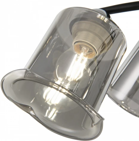 Потолочная люстра на штанге Arte Milano AMALFI 323219/3 CR+BK (220V)