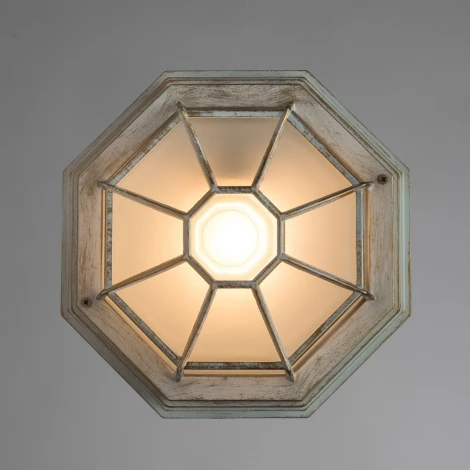Потолочный светильник уличный Arte Lamp Pegasus A3121PF-1WG (220V, IP44)