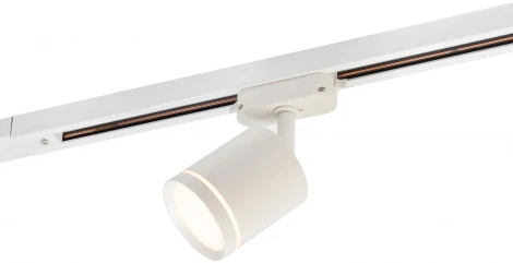 Трековый светильник Denkirs DK640 DK6401-WH (LED, 220V, круглые)