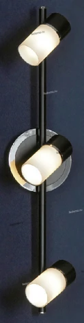 Настенно-потолочный светильник Lussole Siliqua LSQ-6101-03