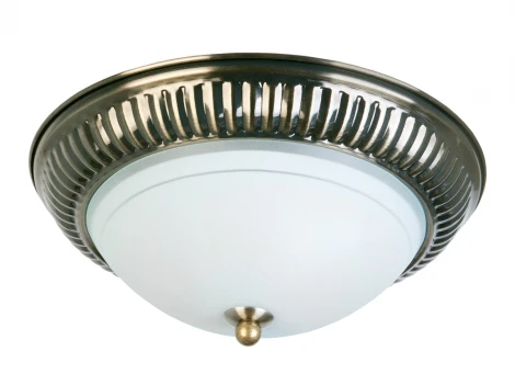 Потолочный светильник Toplight Dora TL5040Y-02AB