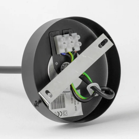 Подвесная люстра Lussole LSP-8913 (220V, шарики)