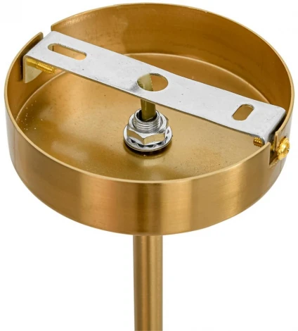 Потолочная люстра на штанге Lumion Denver 8276/6 латунь/прозрачный, металл/стекло Е14 6*40W 220V