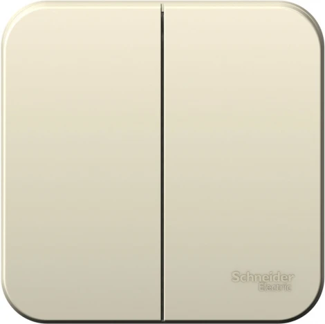 Выключатель накладной двухклавишный (молочный) Systeme Electric Blanca BLNVA105002
