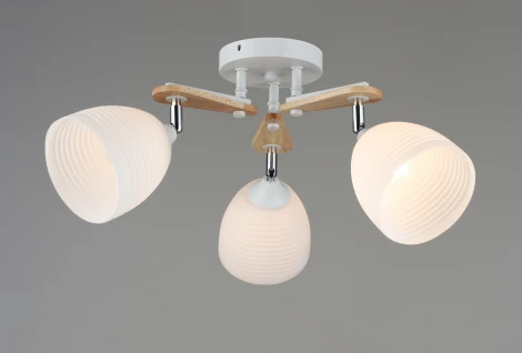 Потолочная люстра на штанге Мелодия Света 000060405