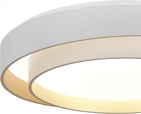 Потолочный светильник Evoluce Crosby SLE6009-502-01 Белый/Белый LED 1*50W 3000K/4000K/6000K