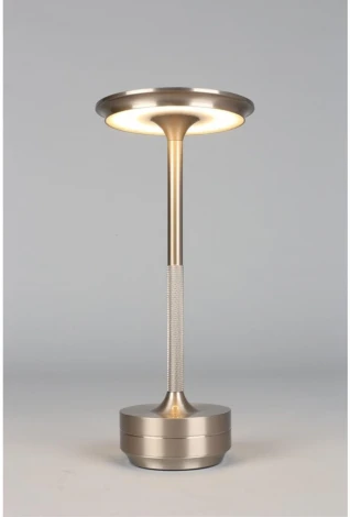 Настольная лампа светодиодная Aployt Markel APL.064.14.05 (220V)