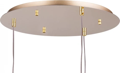 Подвесной светильник Lightstar Extra L3PR721132 (220V, на проводе, листья, ветки)