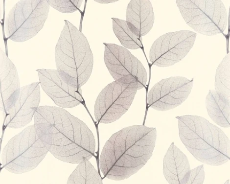 Обои виниловые A.S. Creation X-Ray 34247-2 10,05 x 0,53 м