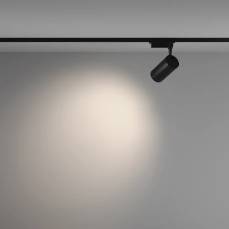 Трековый светильник Vuoro Unity 4000K 36Вт 60° LED (однофазный) Maytoni Technical TR003-1-36W4K-W-B (220V, круглые)