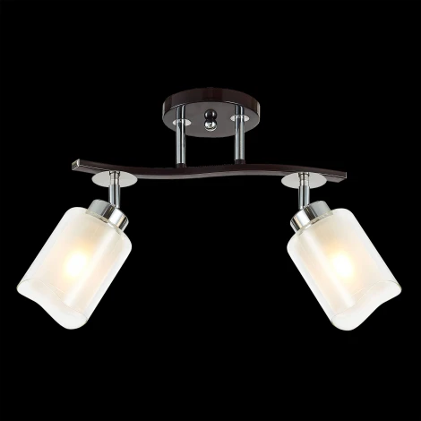 Потолочная люстра на штанге Citilux Фортуна CL156122 (220V)