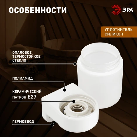 Настенный светильник влагозащищенный ЭРА НББ 01 НББ 01-60-003