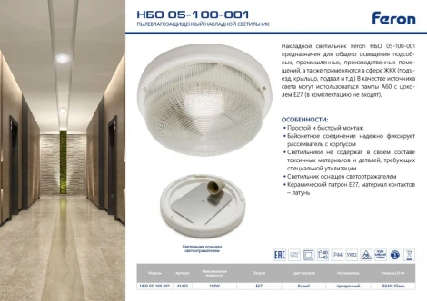 Настенный светильник уличный Feron 41403 (220V, круглые, IP44)