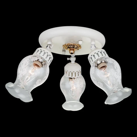 Потолочный светильник Citilux Метафора CL413132