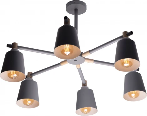 Потолочная люстра на штанге Ritter Volante 52444 1