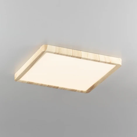 Настенно-потолочный светильник Citilux Бейсик CL738K242V (регулировка яркости, LED, 220V, IP40)