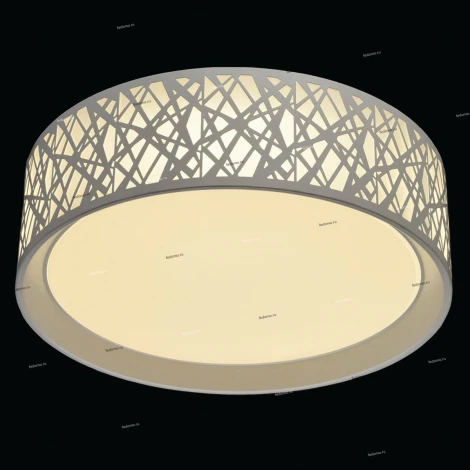 Потолочный светильник DeMarkt Ривз 674012501