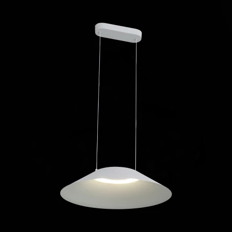 Подвесной светильник ST Luce Pitto SL427.513.01