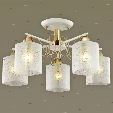 Потолочная люстра Lumion Opicus 3508/5C