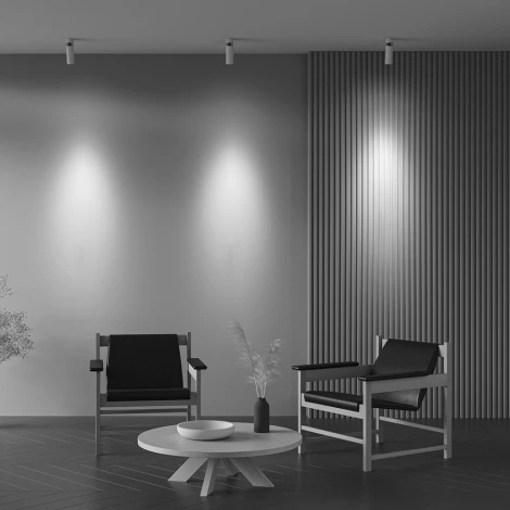 Потолочный светильник Maytoni Focus Zoom 4000K 1x12W 15°-50° C055CL-L12W4K-Z-W (LED, 220V, круглые)