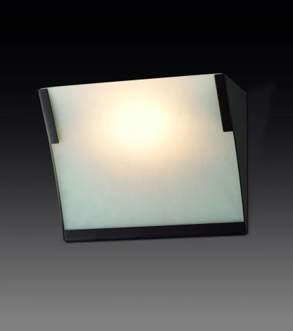 Бра Odeon Light Lan 2022/1W